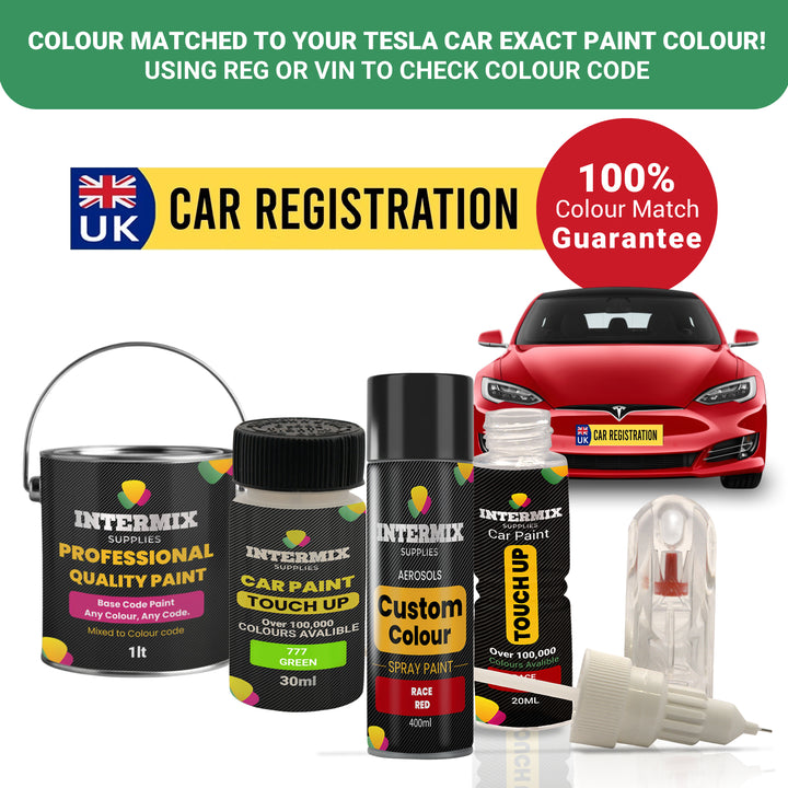 Tesla Car Paint